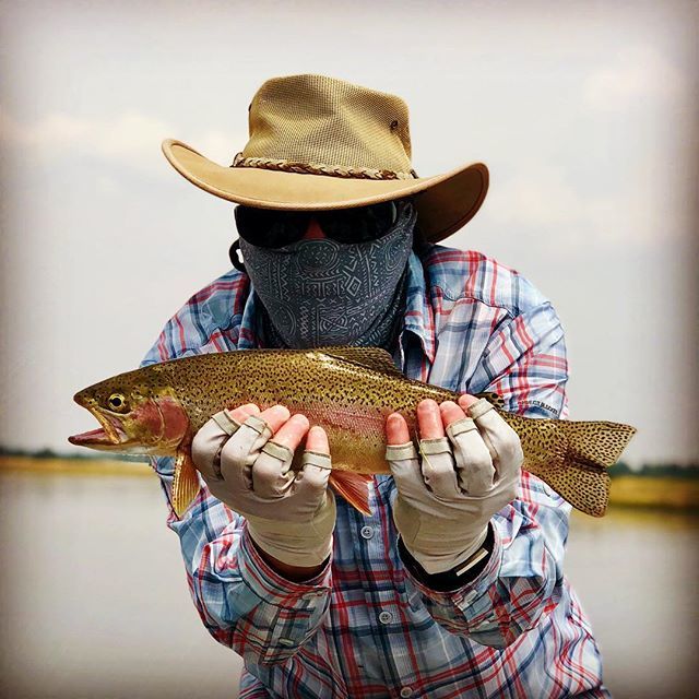 RockingOutdoors's tweet photo. Henrys Fork rainbow. Or is it a cutbow? Snake River, Idaho.
.
.
.
#flyfishing #rainbow #cutbow #trout #catchandrelease #henrysfork #outdoors #river #idaho #fitness #neverstopexploring https://t.co/1aGMXSbAA0 https://t.co/e9S3fcQmFp