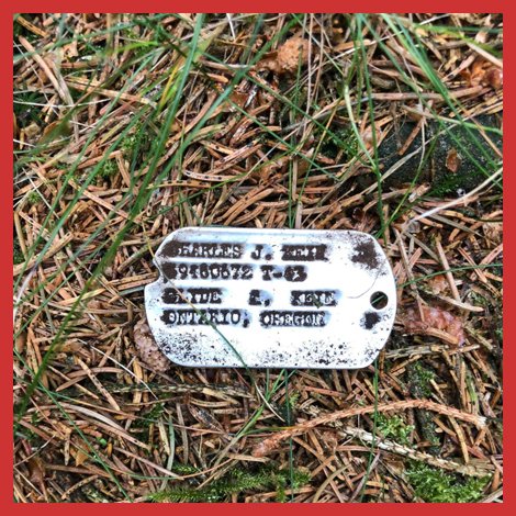 KellycoDetector's tweet photo. The #TreasureFindoftheWeek is here! David took his Garrett AT Pro on vacation and found a dog tag in Europe. He was able to find the owner and return it.
#KellycoTreasure #tfotw #kellyco #MetalDetector #garrett #atpro #garrettatpro https://t.co/VxTnOo4R0C https://t.co/FKRHkTnJEq