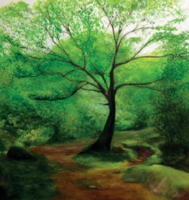 “Inevitably, I am most drawn to trees that have something unusual in their form, evidence of how the tree has responded to events and conditions in its environment.” <a href="/WedlakeHatton/">J Wedlake Hatton</a> showing work at 'The Arborealists' #exhibition until 4 August.
bit.ly/Arborealists
