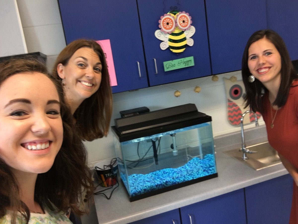 MrsFitch_PVES's tweet image. No fish yet, but Mrs. Plowden’s class pets will love their tank! @pvespride #firstbest