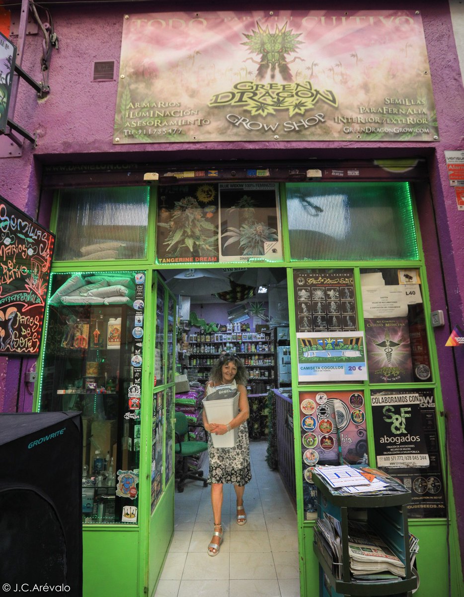 GreenDragonGrow's tweet photo. Abierto en agosto ... https://t.co/3nnJOyFrgx