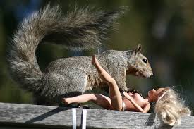 GateSquirrel's tweet image. This is a little awkward