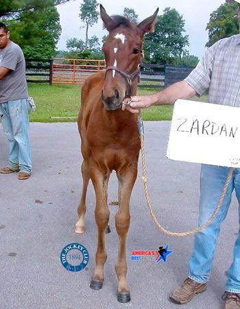 torijada6's tweet image. 12 hour drive to Saratoga has me finding throwback pics of my boy 😭😍 #SmartTransition