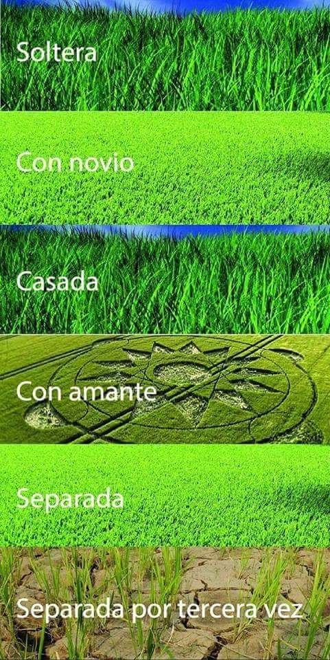 pablillopablote's tweet photo. #AgostoConADe https://t.co/y0z67a0CGp