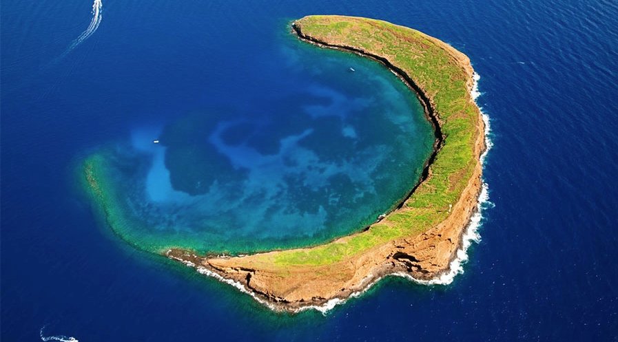 Snorkel in the crystal-clear waters off Maui’s south shore, where you will find coral reefs teeming with tropical fish, bird sanctuary &amp; an area just off the beach known for its many sea turtles. #Hawaii #turtles #snorkeling #reef #Explore #travel