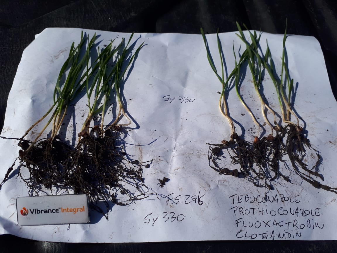 Leandro Barcos tweet media