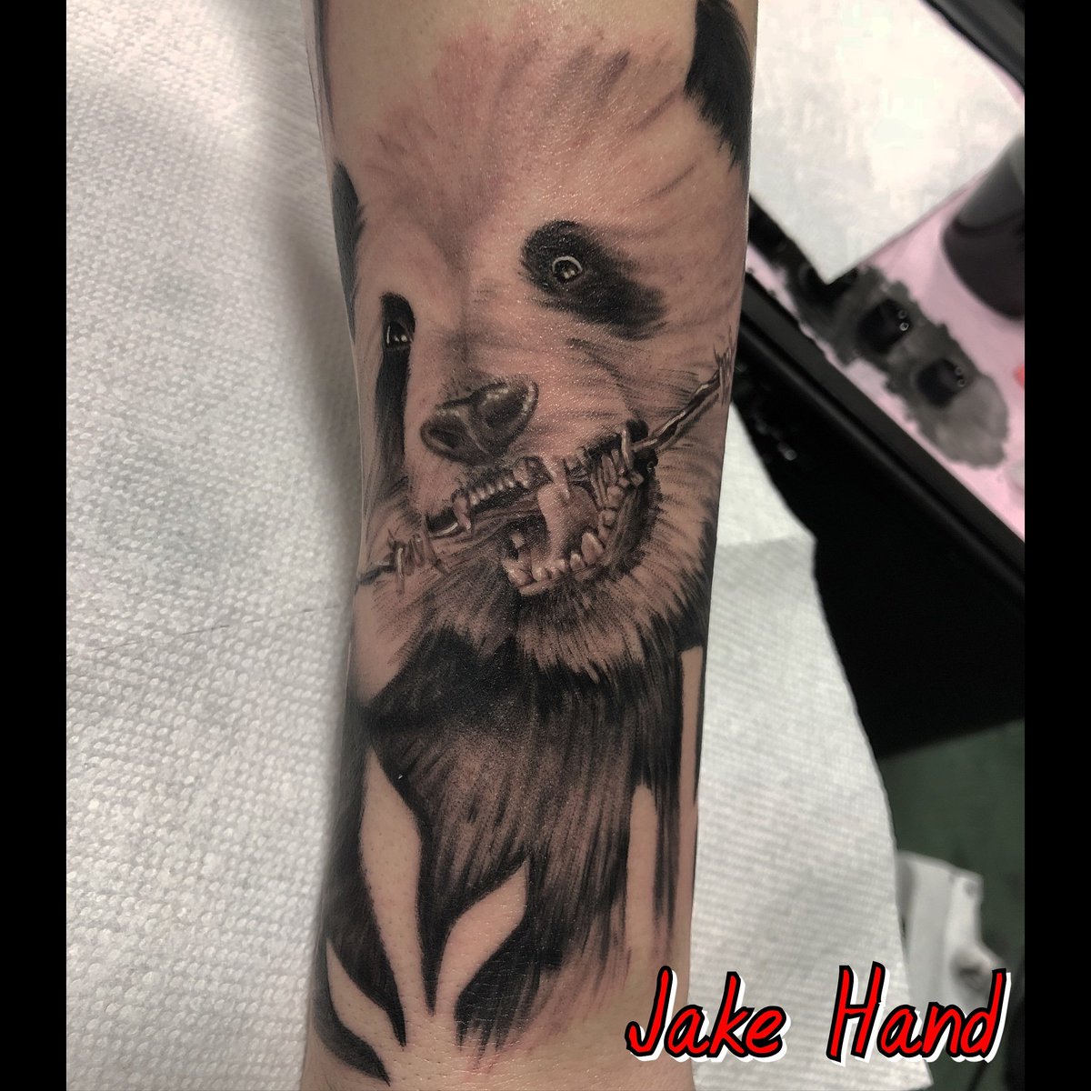 DaddyJackTattoo's tweet photo. Check out this stunning realistic pand done by Jake Hand! #panda #pandabear #blackandgray #pandatattoo #realistic #realisticpanda #daddyjacksbodyartstudio #keller #kellertx #kellertattoos #kellertxtattoos #fortworth #fortworthtx #fortworthtattoos #fortworthtxtattoos #dfw #dfwtx https://t.co/bRYDgXWCO4