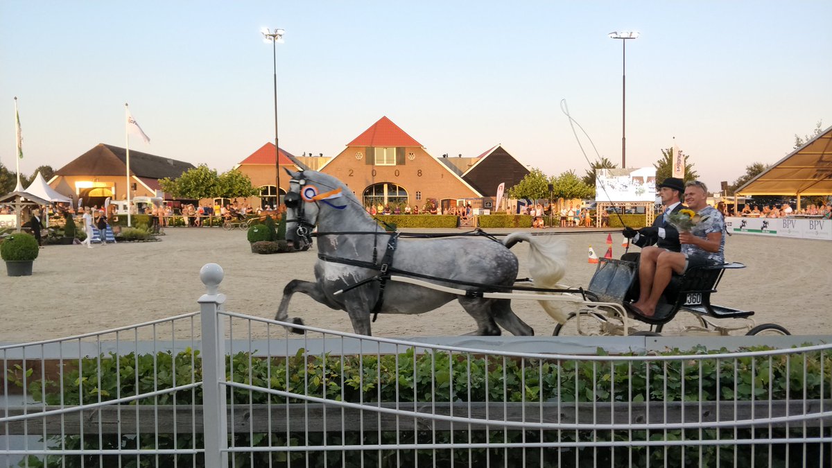 CsiOmmen's tweet image. De avond van het aangespannen paard loopt ten einde, wat was het mooi! #CSIOmmen