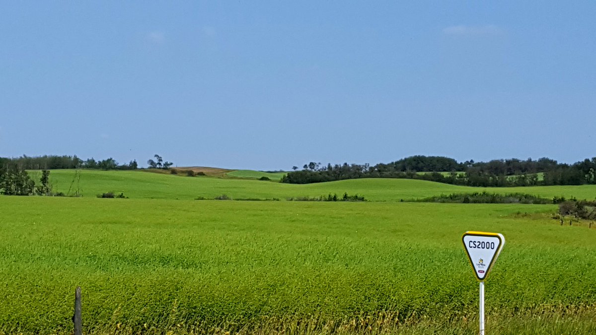 SeCanLauren's tweet photo. Hey @JoannaCanterra look what I randomly found CS2000 #canola If it weren't for Google maps I'd b completely lost #somewhereinNWSask #clubrootresistance #whatufindonthebackroads https://t.co/xlqNMjN84Z