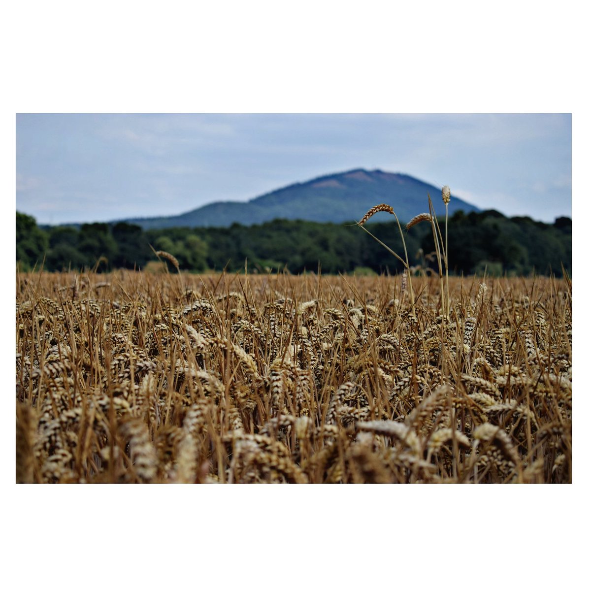 River Severn backdrop
#thebeardedfisherman #tackleandbaits #DNABaits #redefiningquality #teamkorda #kordaofficial #danglersnation #monkeyclimber #carpy #thatscarpy #carpfishinguk #angling #carpangling #carpology #englishcarping #photograpgy #instaphotography #nikon #photooftheday
