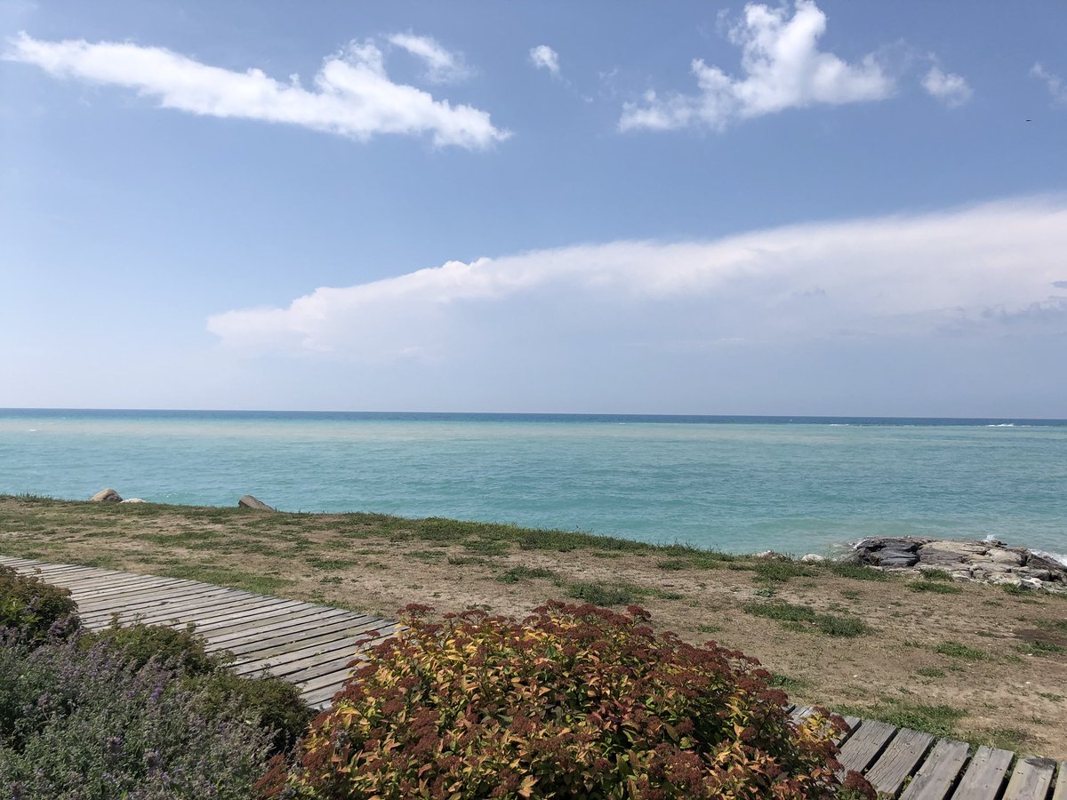 _Susan_OBrien's tweet photo. Who needs the Caribbean when we've got heat, humidity and sparkling blue water right here? #GoderichBeach #HappyPlace https://t.co/Ryg1sTlLuC