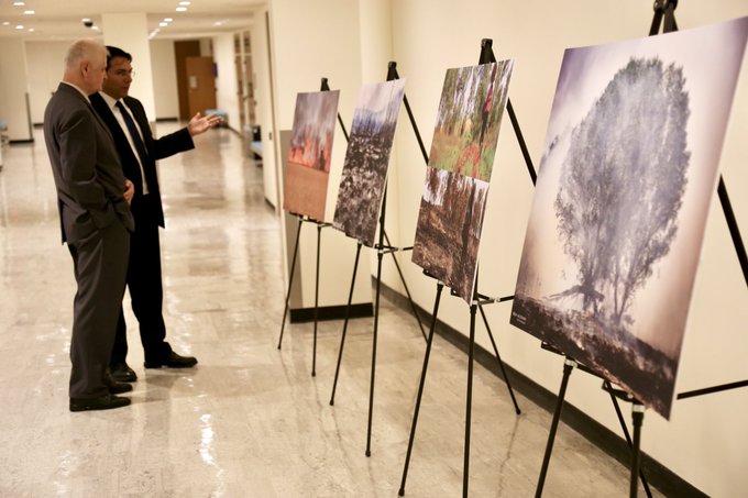 View image on Twitter