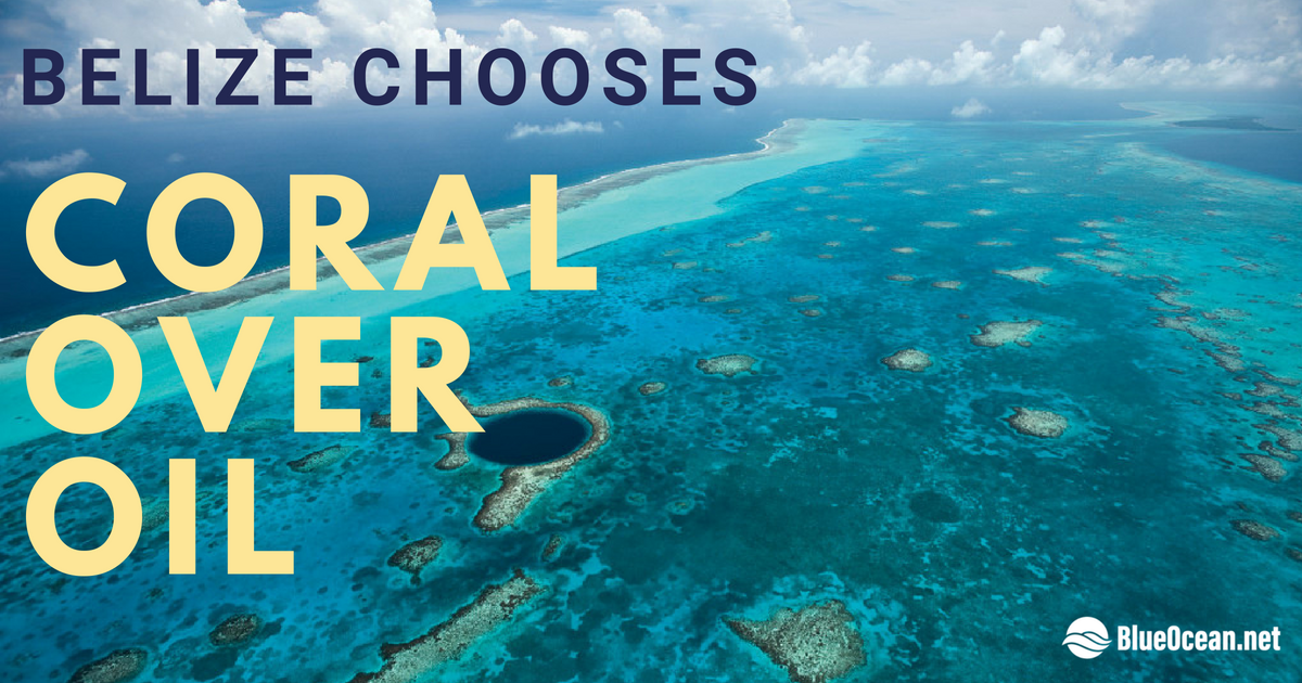 BlueOceanSummit's tweet photo. A pro-HUMANITY decision! #Belize put a STOP to #oil exploration and extraction protecting The #BelizeBarrierReef, a 190-mile long #WorldHeritageSite. https://t.co/dkmmJhsNnG
.
#SustainTheBlue #OceanOptimism #EffectiveAction #ClimateHeroes #IYOR2018 #cleanenergy @IYOR2018 @UNESCO https://t.co/HdhoZUXWNw