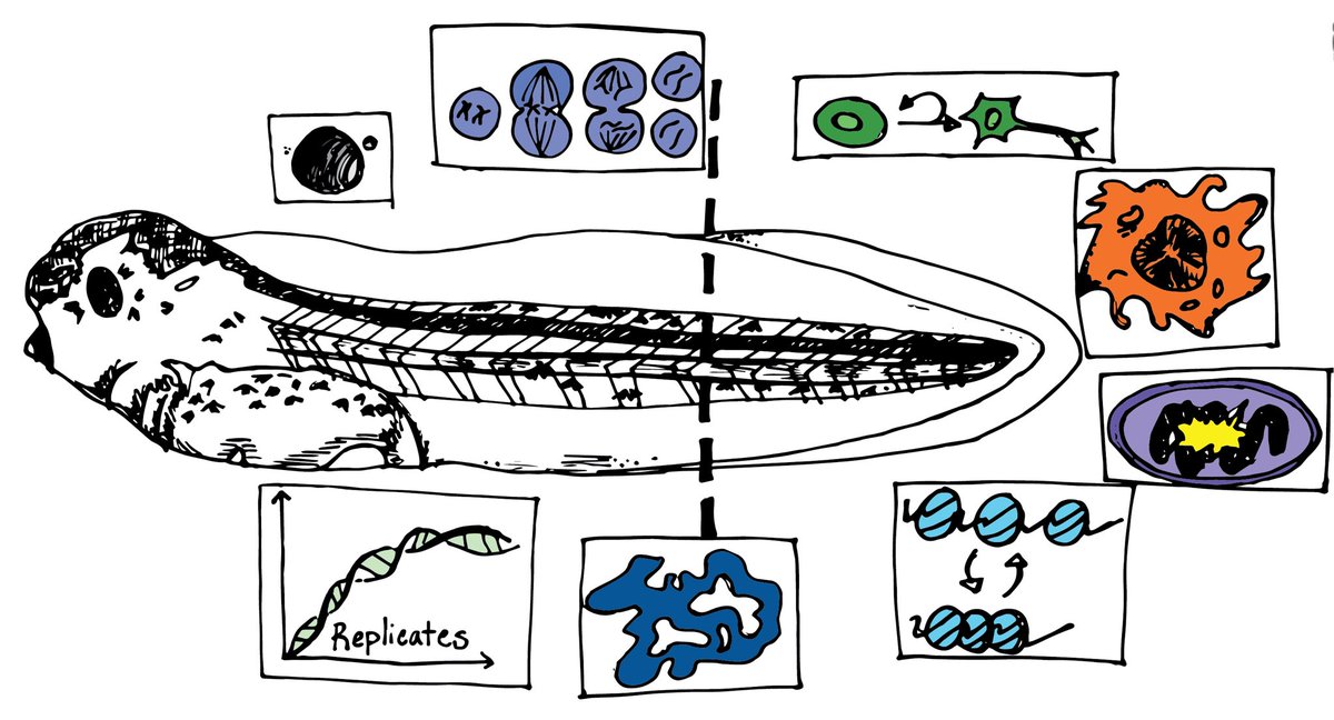 Wills Lab tweet media