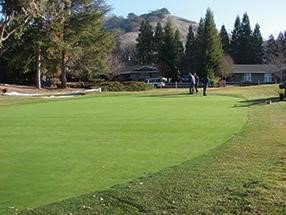 GreenJacket_TC's tweet photo. Summer Sale is on....And the #clockisticking
Up To 17.5% off THRU August 15th
DETAILS HERE: https://t.co/l4dHwy18Re
SAVE $1,000's! #turfcovers #impermeable #permeable #frostprotection #tarpdevil @tarpdevil https://t.co/fQmo4Eq23h