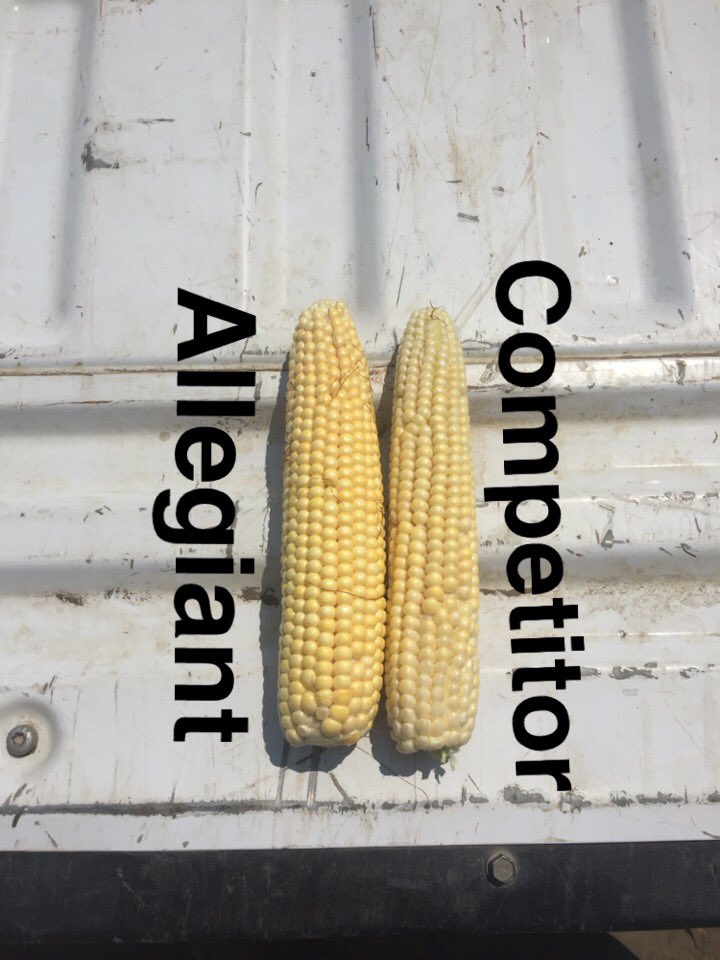 austinwiley014's tweet photo. Dan, Ben, and I went out and explored the #Allegiantseed corn plot this afternoon! There is a large variety ranging from 103 day all the way to 90 day. Get ahold of your local @CHSMidwestCoop agronomist about our #ProPlot day to learn more about each breed! @CHSInterns https://t.co/A6hQCGWdOV