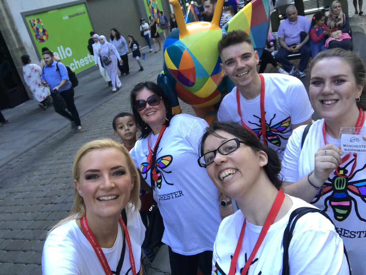 BeesMcr's tweet photo. #bitcsponsorchallenge banks bee https://t.co/0NmWe8rVKE