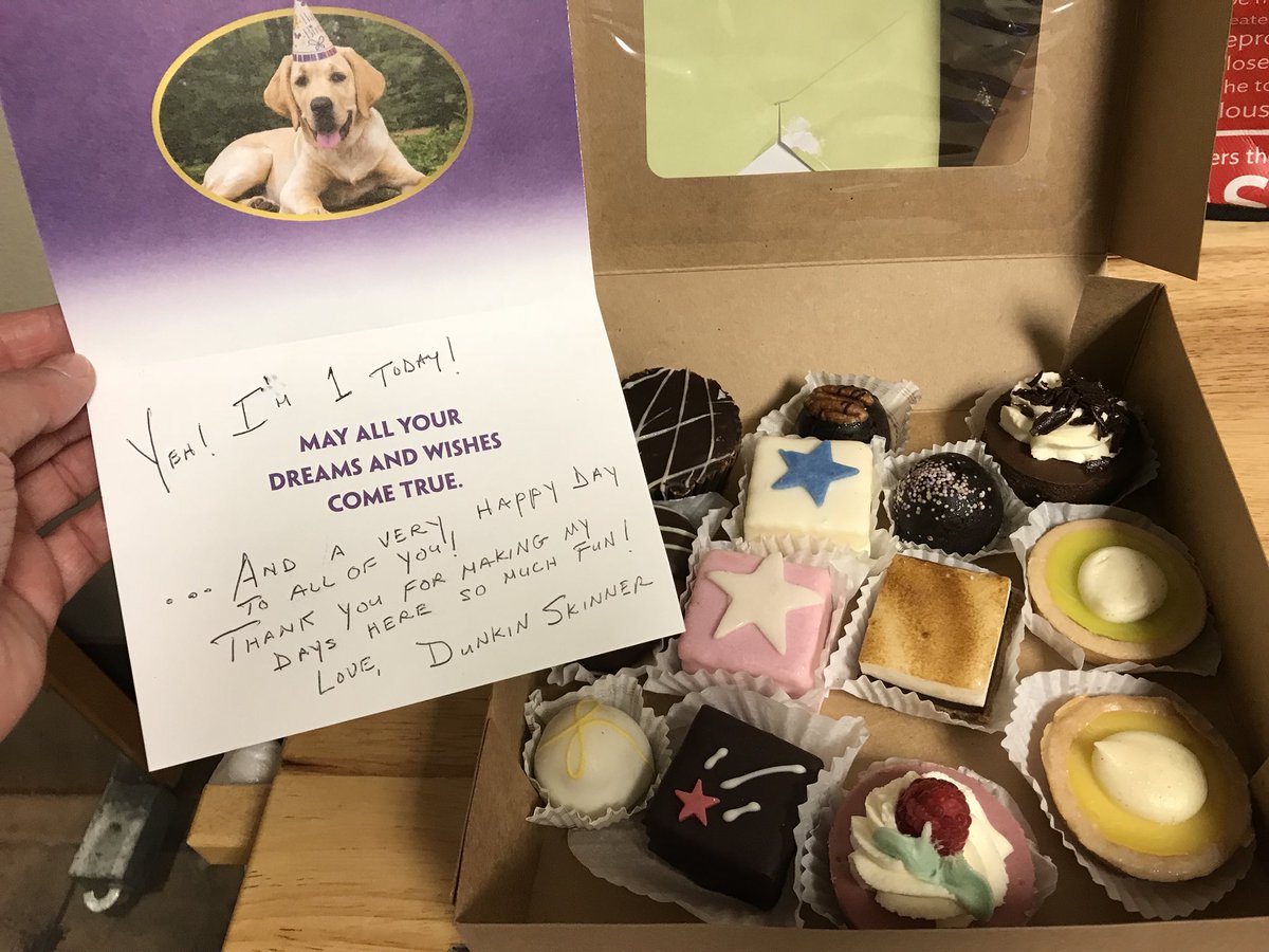 Framingham Petsmart tweet media