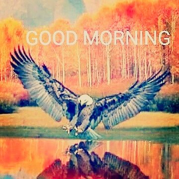 UpchurchCom1's tweet image. #sweetsformysweet