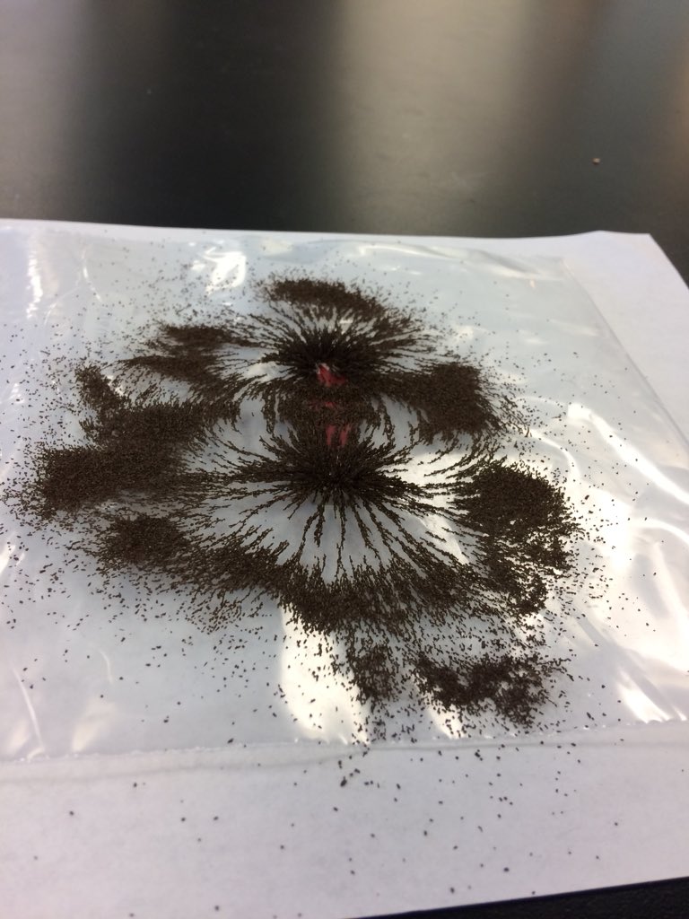 Magnetic Poles #NMSI