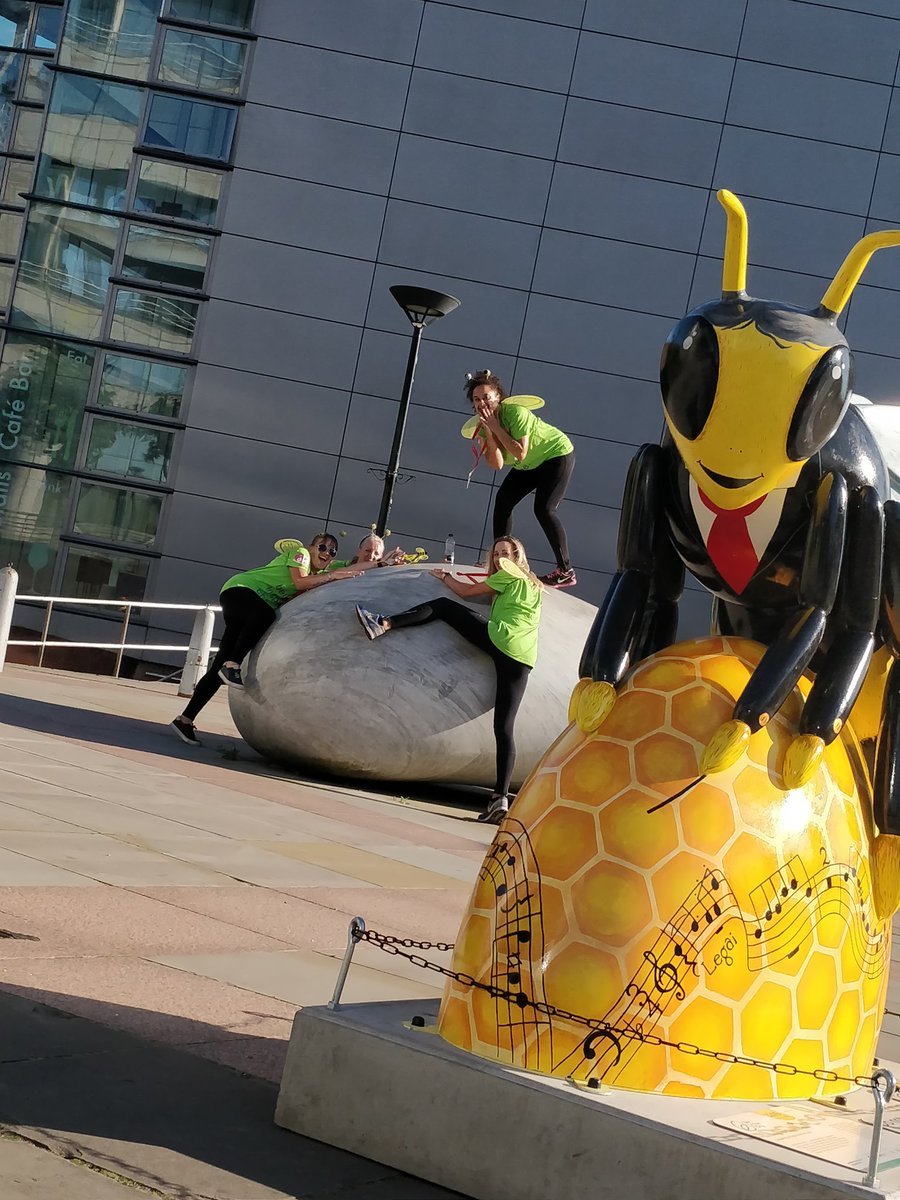 DWF_Bee's tweet photo. Honey I shrunk the kids 😱

#bitcsponsorchallenge
#buzzwigvanbeethovan https://t.co/d0YtIQ4fML