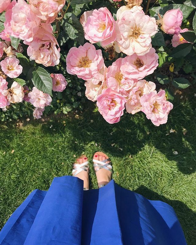 Stop and smell the roses 🌸💙
.
.
.
#fromwhereistand #ukpetalwatch #roses #thisdelightfullife #thisjoyfulmoment #rosegarden #flowergram #liveauthentic #livebeautifully #blooms #everydaymadewell #thefloralseasons #bloomandgrowtogether #floral_perfection… ift.tt/2vvzMLr