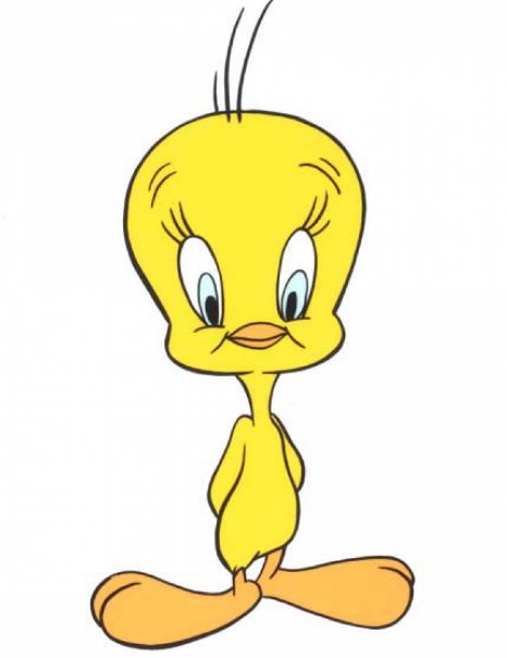 AcesForum's tweet photo. Not sure if I am a tweeter, a twitterer, or a twoddler - it's all tweety-pie to me. Hope someone can figure out and use our ACEs Twitter page intelligently. https://t.co/TfWTbLdzIl https://t.co/xcEmbAI68g
