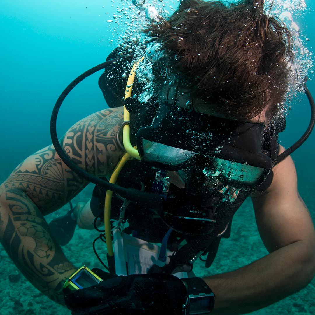 It takes great physical and mental strength to be a Diver in Special Warfar...