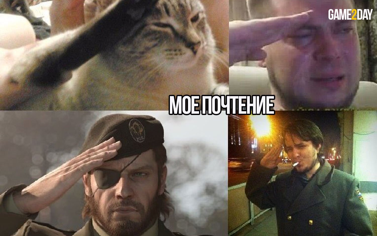 Кот отдает честь Мем
