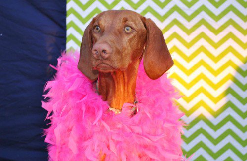 Stay Classy Canton tweet media