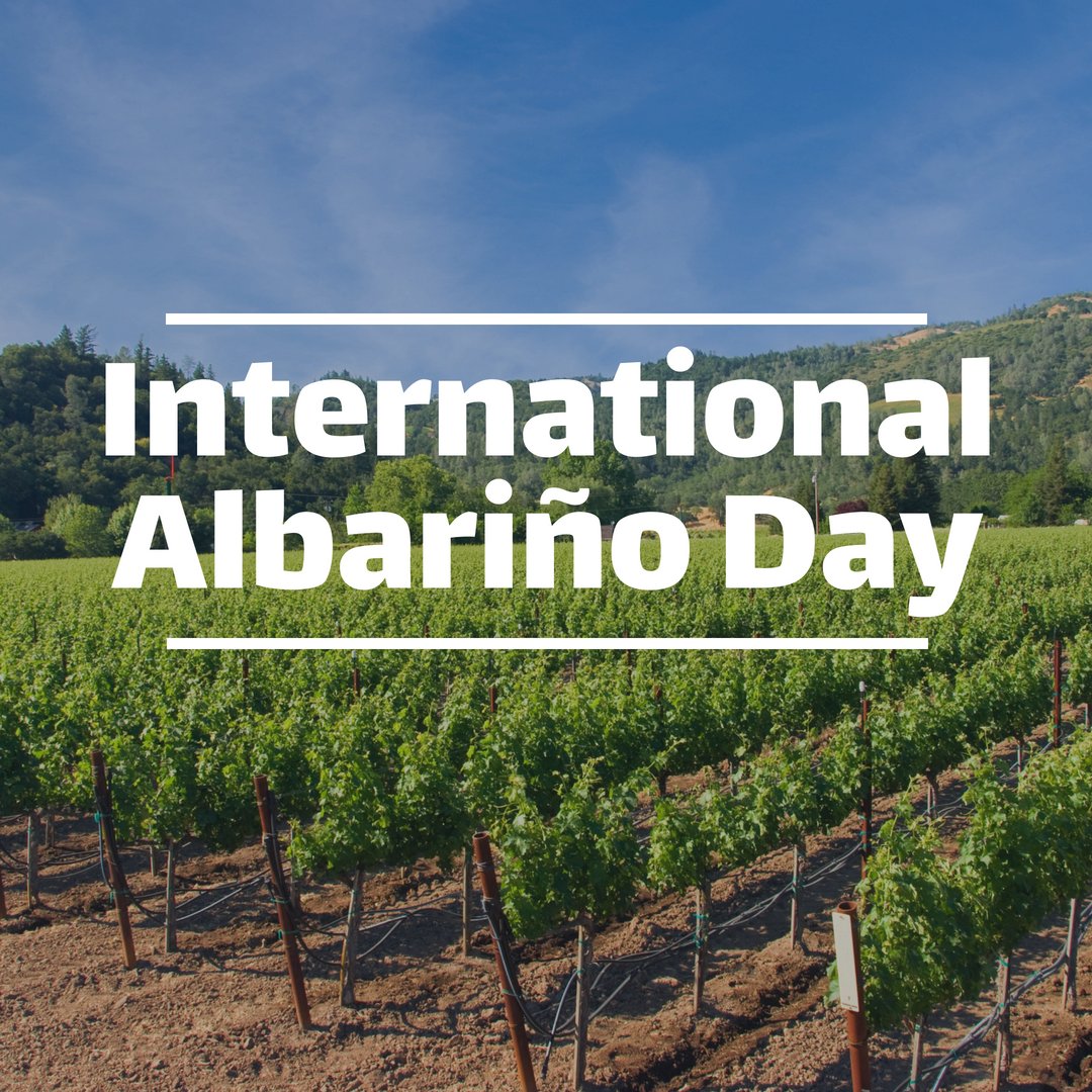 Not a lot of California producers grow this rare Spanish grape, but we've saved a few locally-made bottles of Albariño for you. Come try it at the Los Olivos Cafe! #InternationalAlbariñoDay