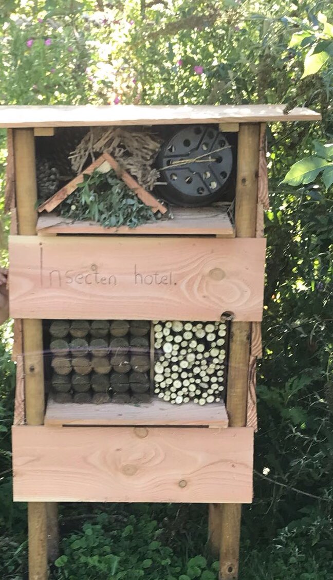 dewaaljf's tweet photo. Er is een nieuw hotel geopend! De eerste bijen zijn al gearriveerd! #helpdebijen #insektenhotel #oostzaan https://t.co/PDYiyamlSu
