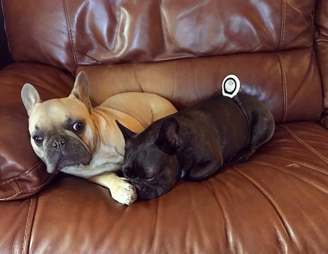 AssisiHealth's tweet photo. Nothing makes treatment better than a friend, even if he is a skeptical friend... @julip55 https://t.co/9Gr08ptyj3