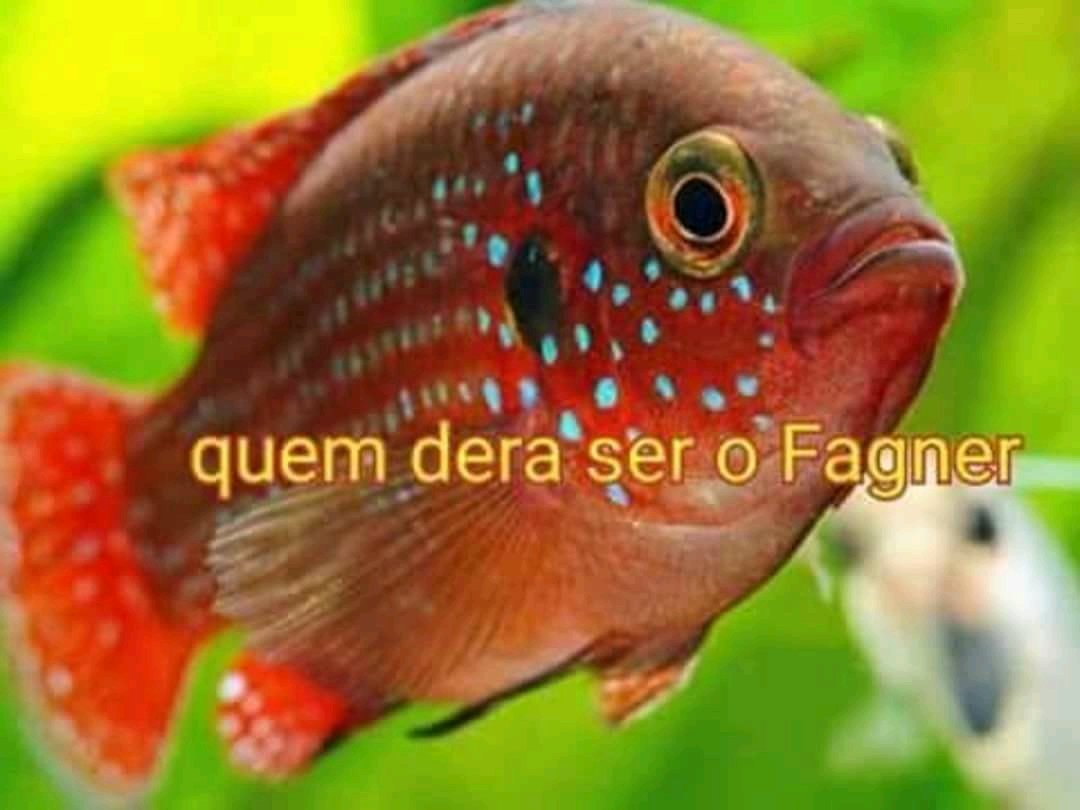 geanrivas's tweet photo. a gente nunca ta satisfeito https://t.co/eMx5sckE1k