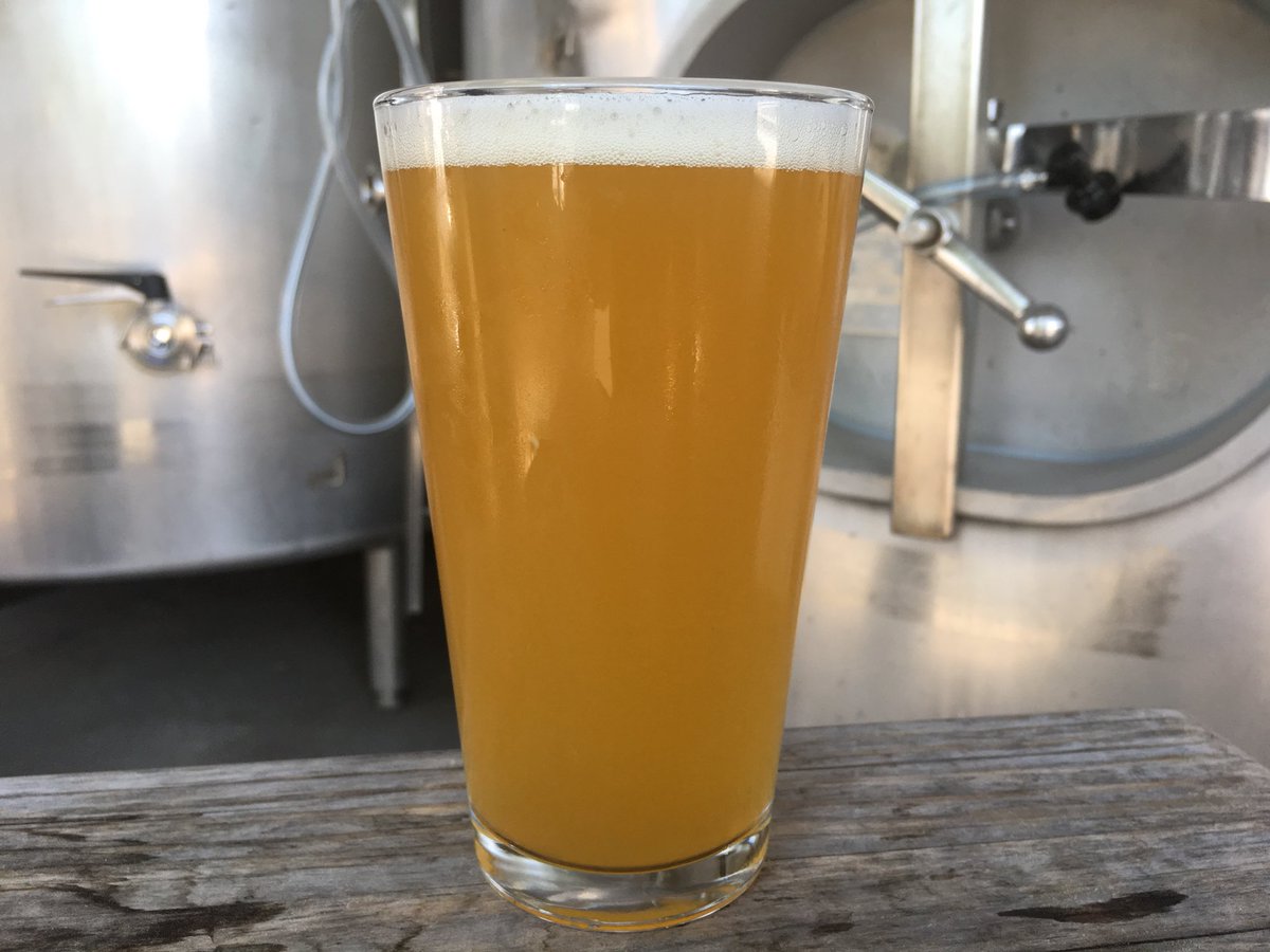 Everyday is #IPAday over here | #IntheGlass Mango Dragon | Mango Infused East Coast #IPA | 7.4% ABV