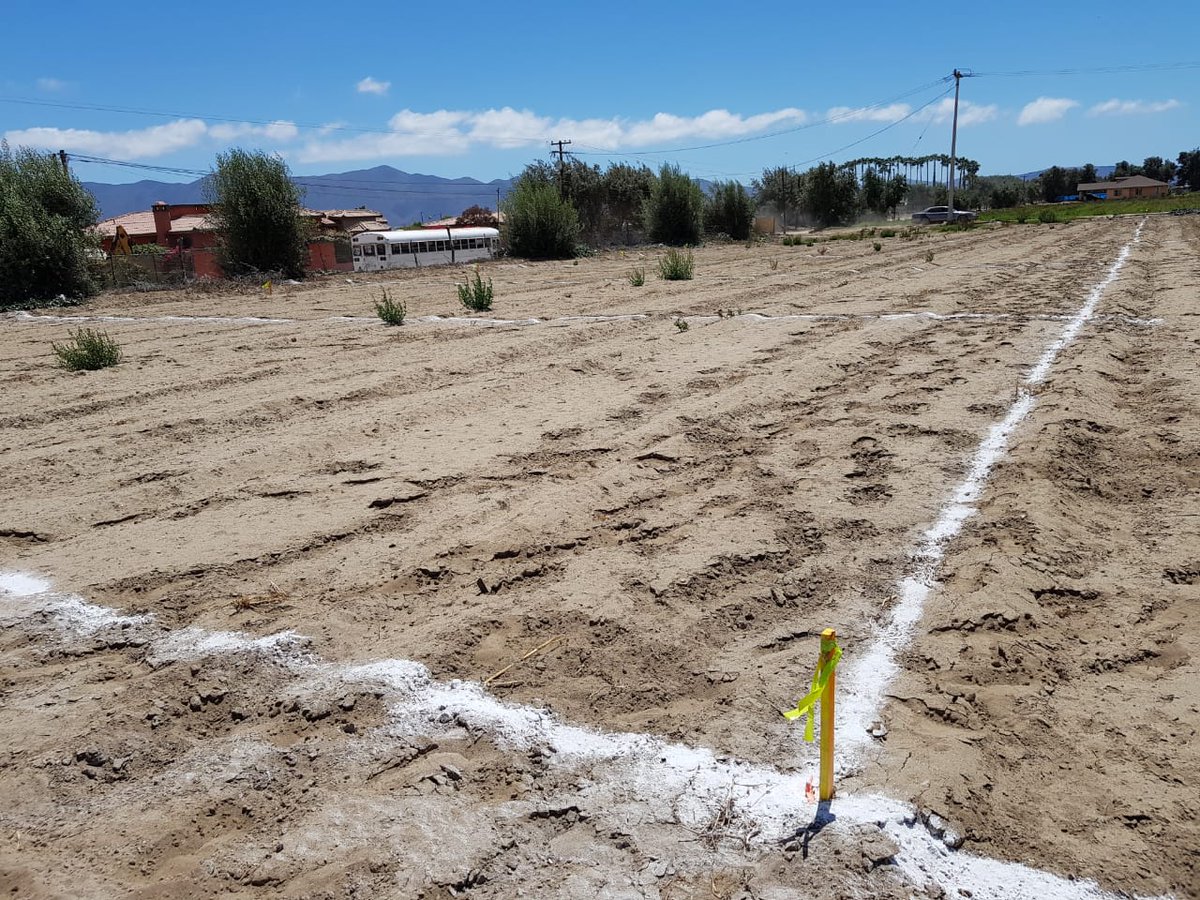 AsesorMillan's tweet photo. #ensenda #Ensenada #terrenos #bajacalifornia #abonos #económicos  Vendo terrenos en abonos,  interesados mandarme mensaje https://t.co/MQ531uWFuJ