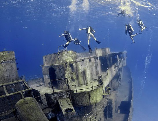 imaginecayman's tweet photo. Explore the incredible sea-life Cayman has to offer and dive the USS Kittiwake Shipwreck! Click link to learn more: https://t.co/vrKDHymBDA #grandcaymanboatcharter #grandcaymanexcursions #grandcaymansnorkeling #sailinggrandcayman #stingraysailinggrandcayman #grandcayman https://t.co/lcCRctBstI