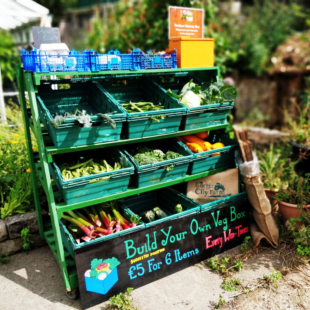 We are launching a Build Your Own Veg Box scheme. We've harvested fresh fruit and veg from the garden and left it on our honesty stall. Choose your items and leave a suggested donation of £5. 

#urbanfarm #vegbox #responsiblysourced #affordablefood #supportlocal #community