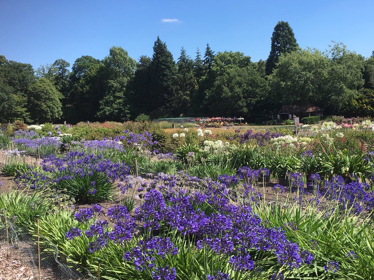 Harvey Stephens tweet media