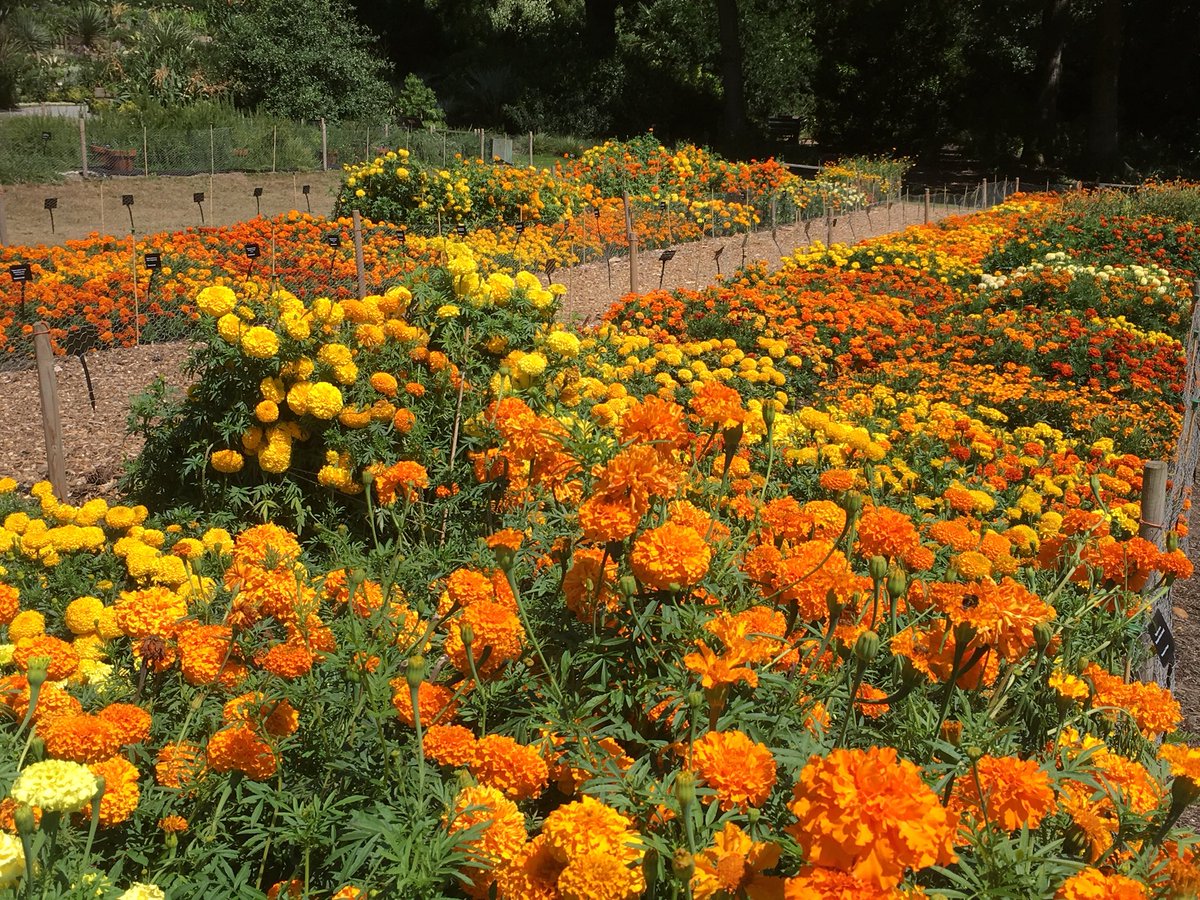 Harvey Stephens tweet media