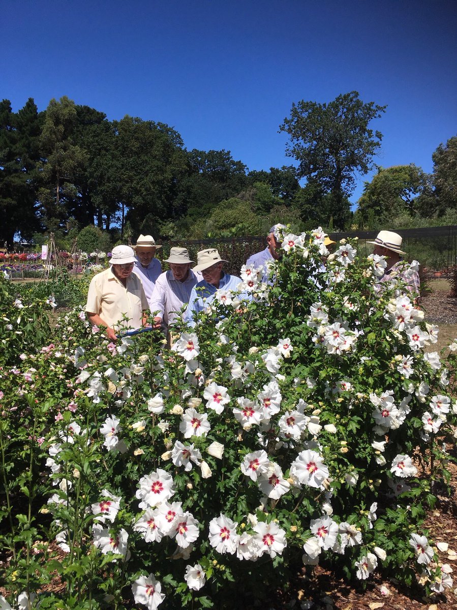 Harvey Stephens tweet media