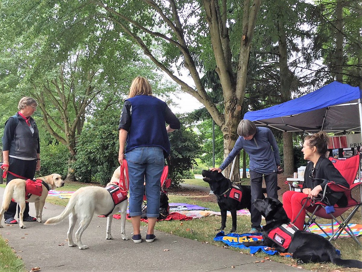 MSFTReactor's tweet photo. Food trucks, snow cones, and some super good doggos from the wonderful folks @PrisonPetWA absolutely making our Day 2 of the #CDASummit at #ReactorRedmond 🐶🍧 https://t.co/brONsH75PQ