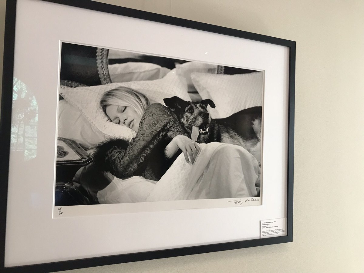 Camilla Berthilsson tweet media