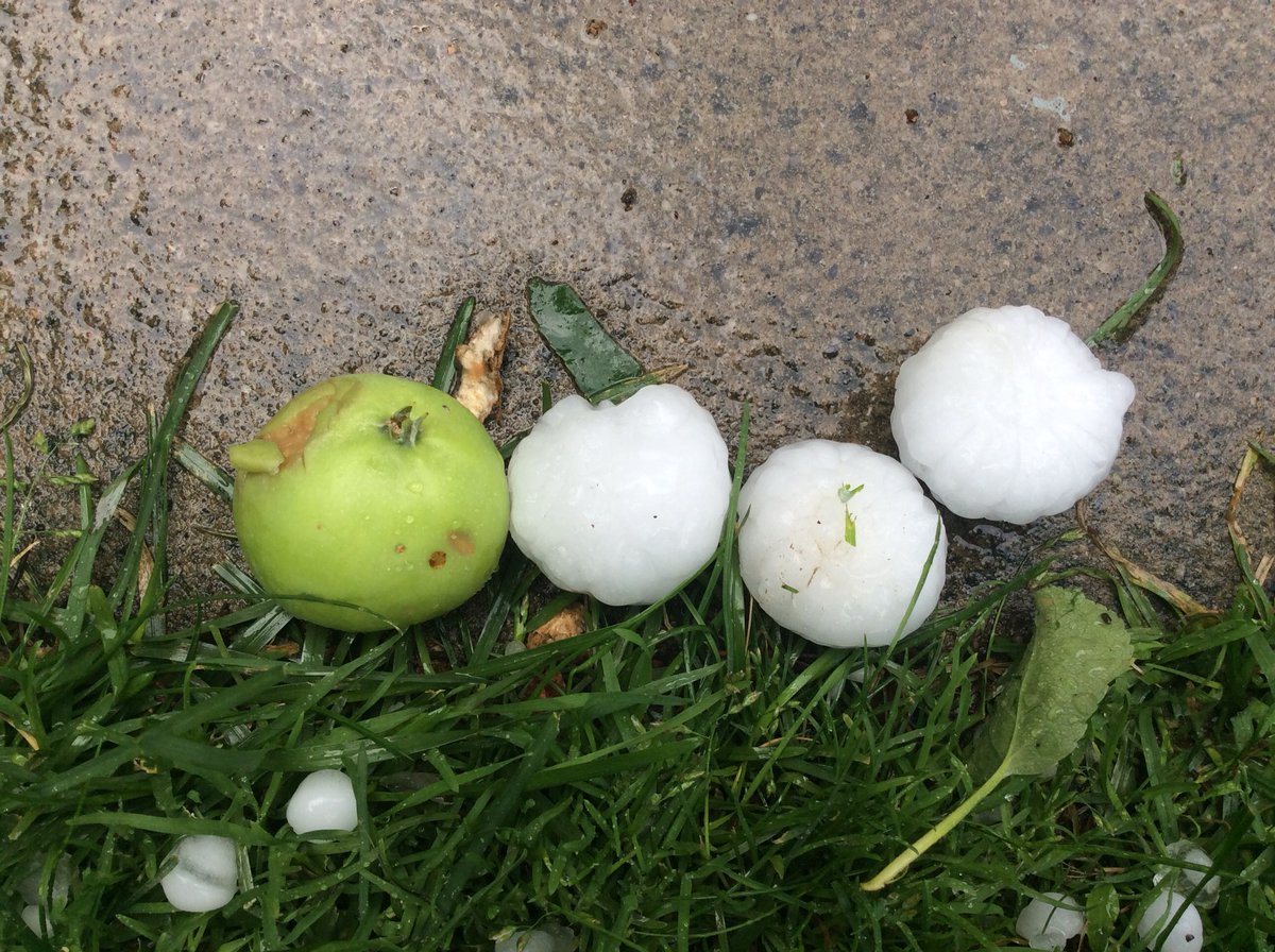 ABBestphotos's tweet photo. Crabapple sized hail SW #Calgary #abstorm https://t.co/HVSRZYJfuS