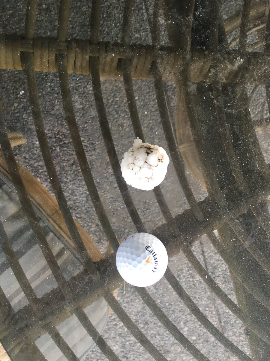 DKenny7's tweet photo. Golf ball sized hail in SW calgary (glenmore reservoir) 1:45-1:55 #abstorm #yyc https://t.co/hQg8T0rdUQ