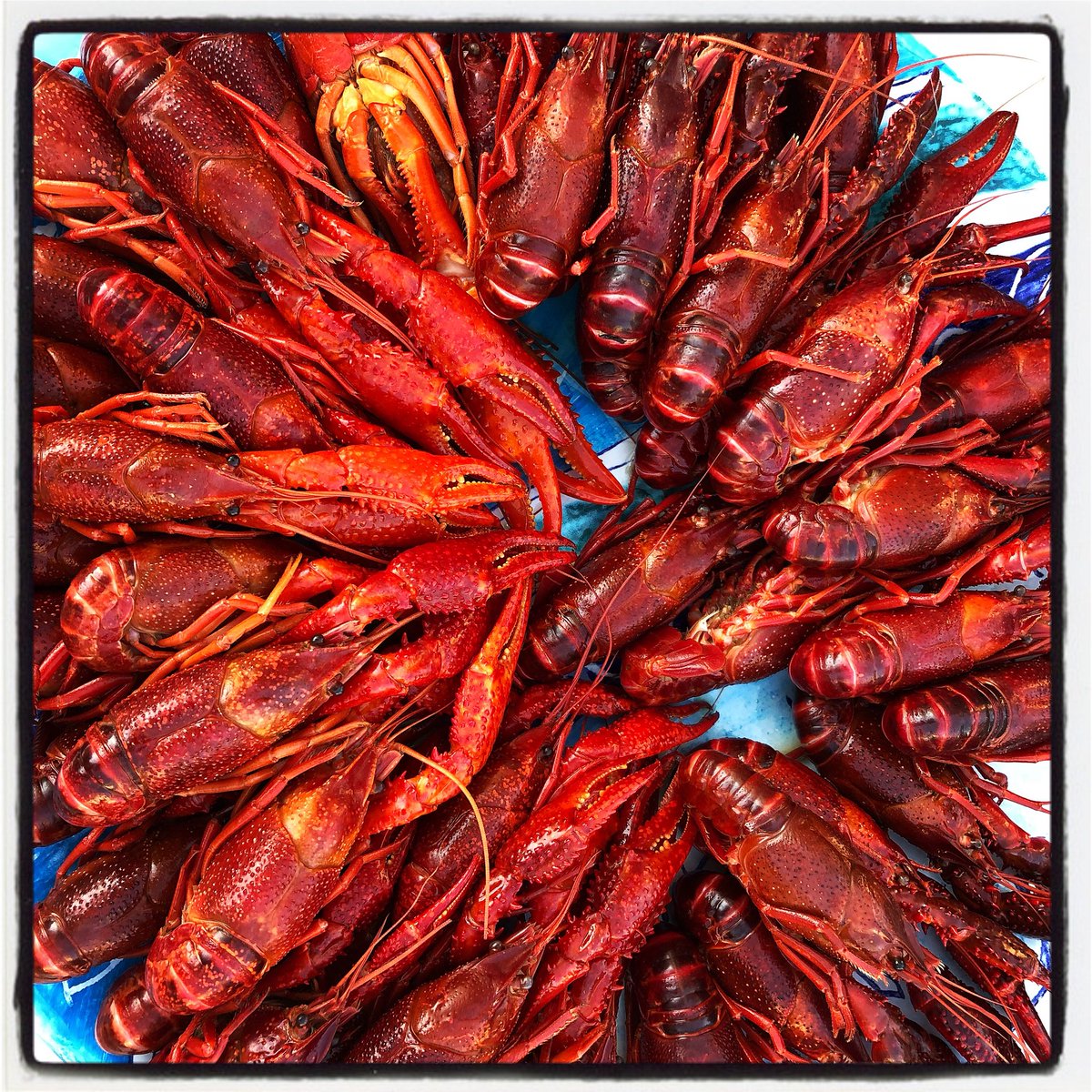 SilverSpoonProj's tweet image. 