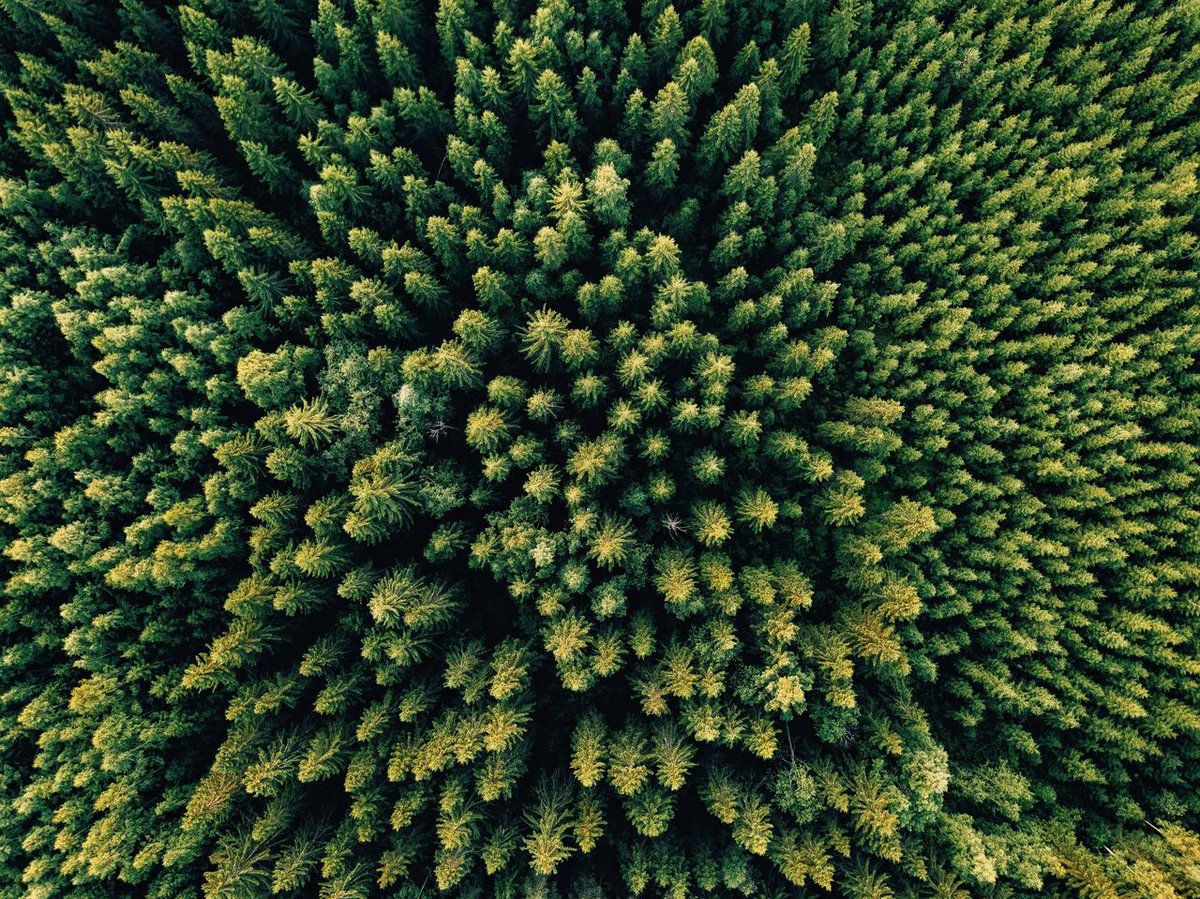 Groen is niet alleen decoratief. Geef oplossingen van de natuur een plek in het beleid rond klimaatverandering, pleit <a href="/LodewijkHoekstr/">Lodewijk Hoekstra</a> nrc.nl/nieuws/2018/08…