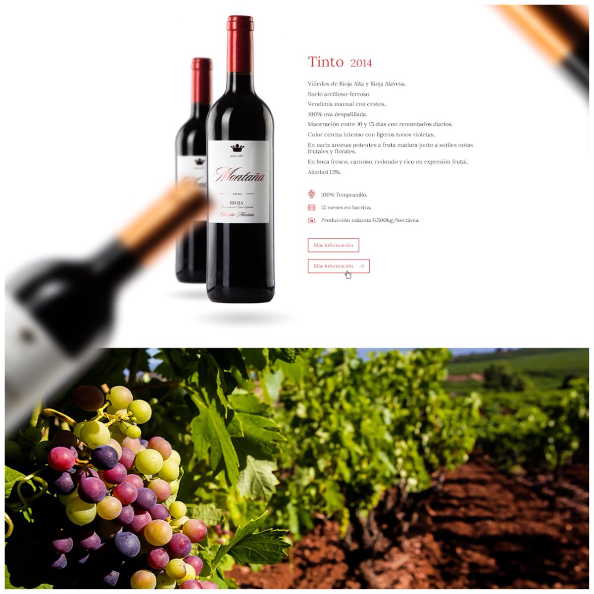 #Familia Montaña..#vinosderioja🍷 #premiumfincas #premiumvino
 #winelife #winery #winecountry #vinos  #winetime #winery #bodegas 
#monteleiva #tempranillo 
#redwine 🍷#PREMIUMFINCAS”
———————————————-- -#nuestro #donroman - #crianza #joven #excelente 
#diazbayo #marquesdetomares