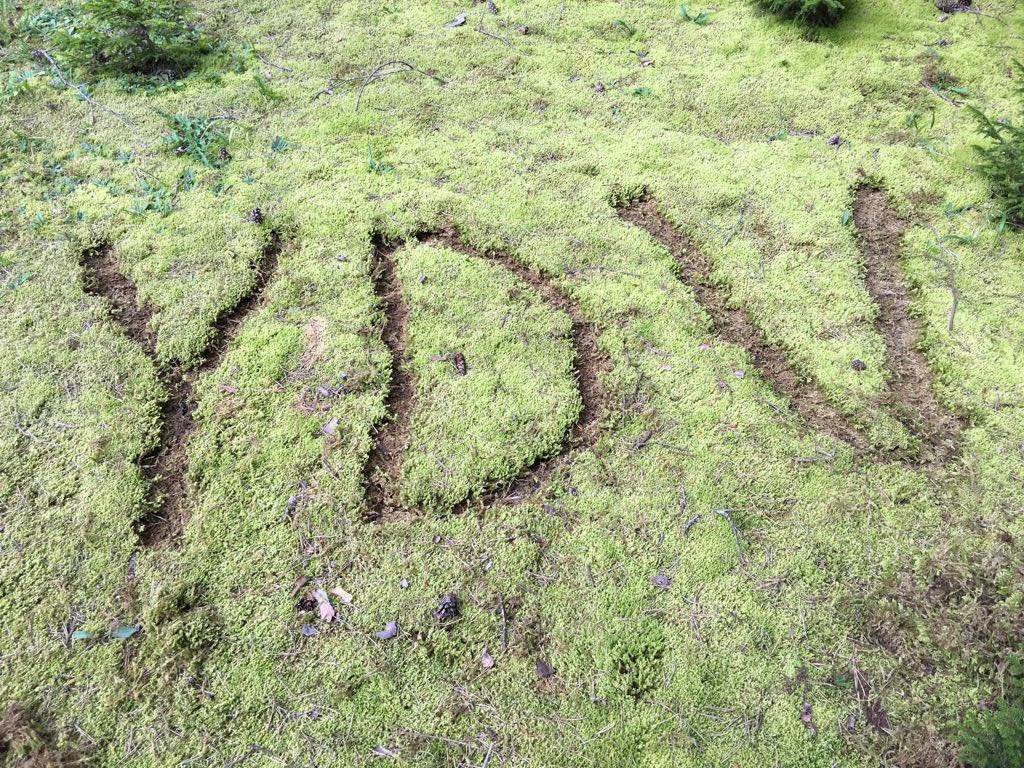 Vakıf çalışmaları kapsamında Giresun Temsilciliğimizi ziyaret eden Genel Başkanımız <a href="/mahmutgoksu02/">Mahmut GÖKSU محمود</a> Temsil Heyeti Başkanımız, Giresun Mv. <a href="/AvSabriOzturk/">Av.Sabri Öztürk</a> ve Temsilciliğimiz Gençlik Kolları Başkanımız Cihat AKGÜRE ile bir araya gelerek çalışmalarımızı değerlendirdi.
#yenidünyavakfı
