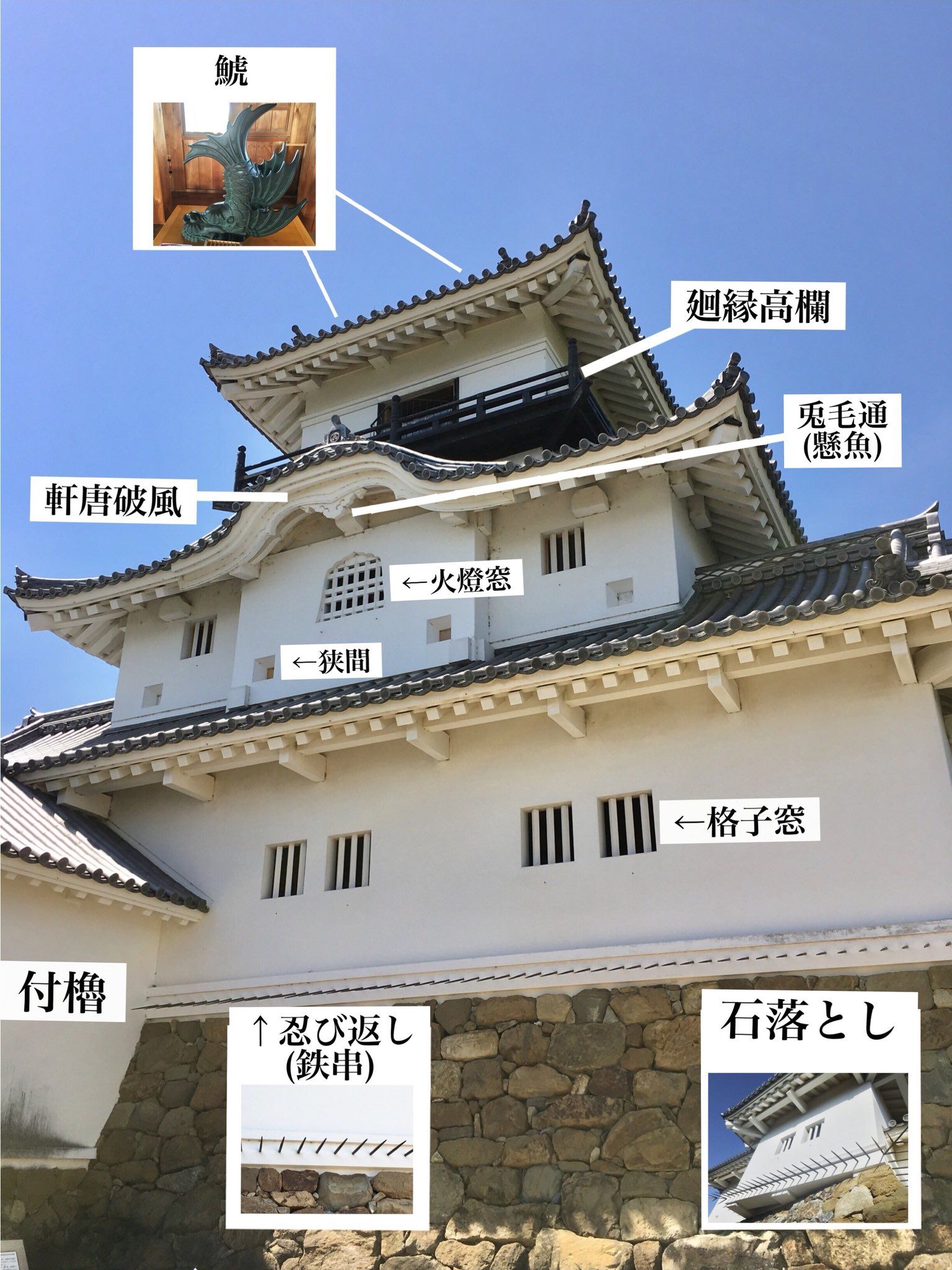 山内一豊と千代の城✨現存十二天守「高知城」 - すまりんの